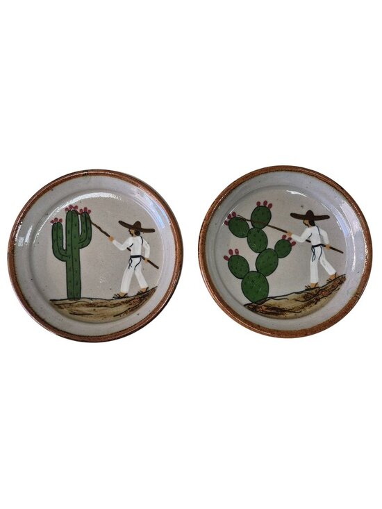 A Other - Mexican Tonala Pottery Plates Hand Painted Cactus Fruit